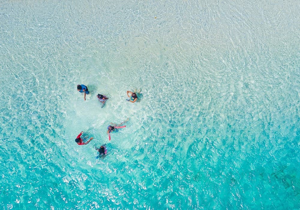 Aerial view of five people wading in clear turquoise water.