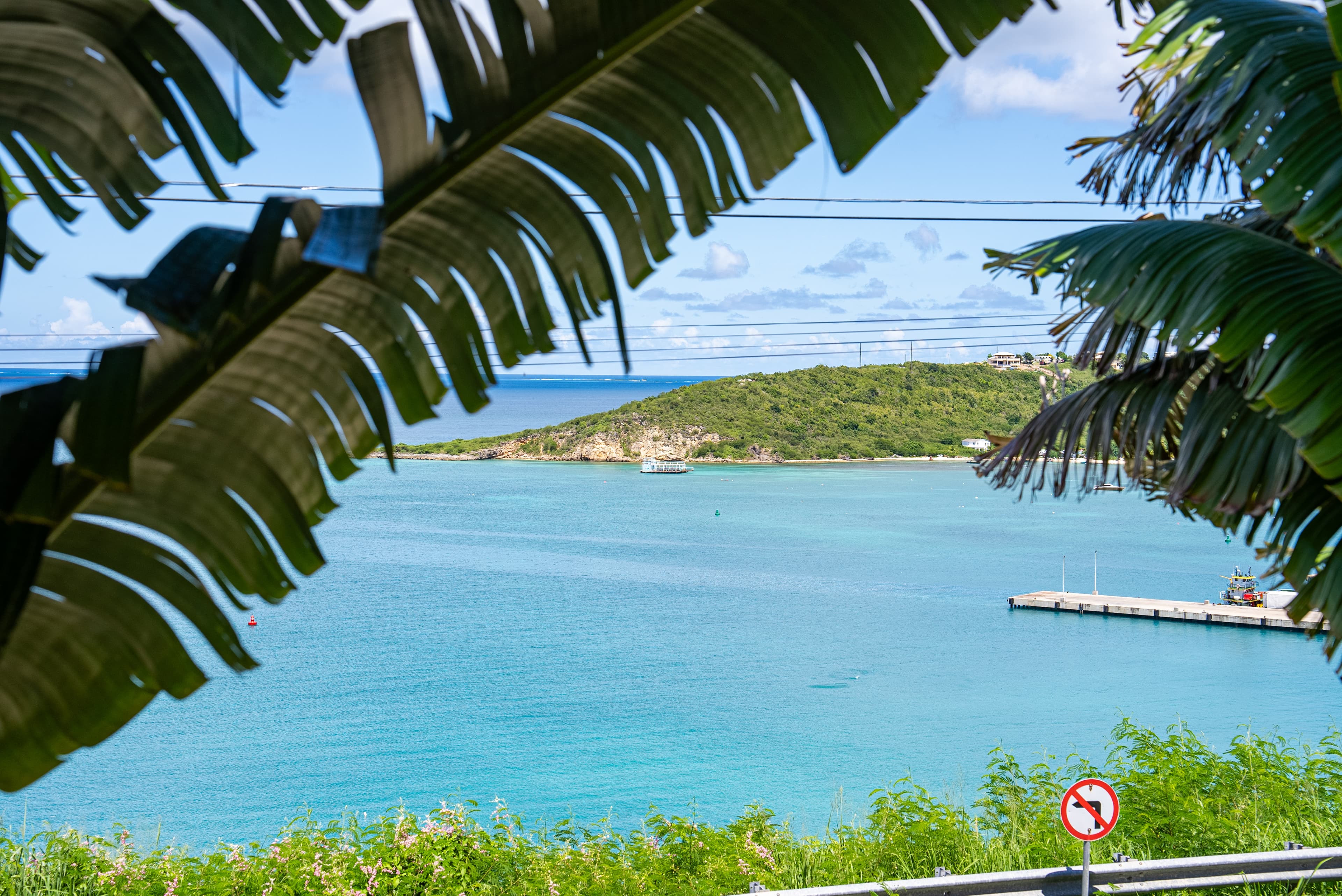 Scenic view of a tranquil bay framed by palm leaves.